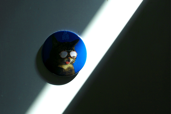 lil bub magnet