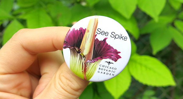 spike corpse flower button