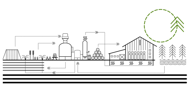 Terra Firma Brewery Process